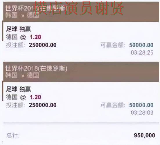 FIFA World Cup 2026期间热门世界杯买球平台实测对比与玩法指南分析